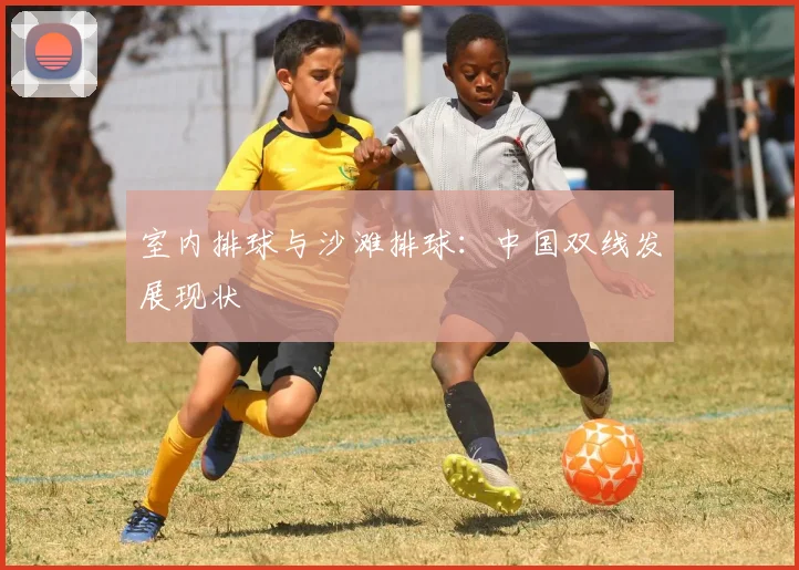 室内排球与沙滩排球：中国双线发展现状