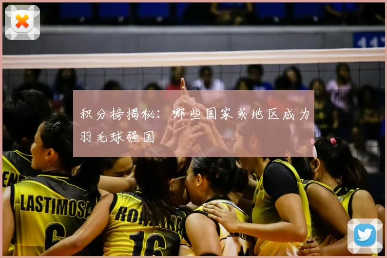 积分榜揭秘：哪些国家或地区成为羽毛球强国
