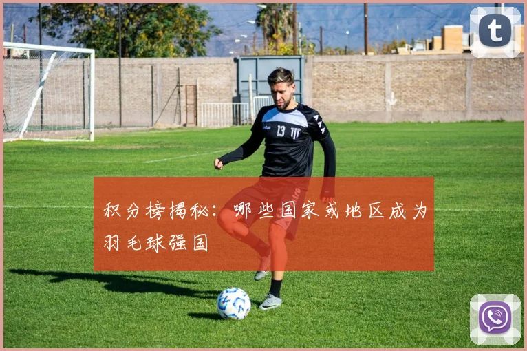 积分榜揭秘:哪些国家或地区成为羽毛球强国